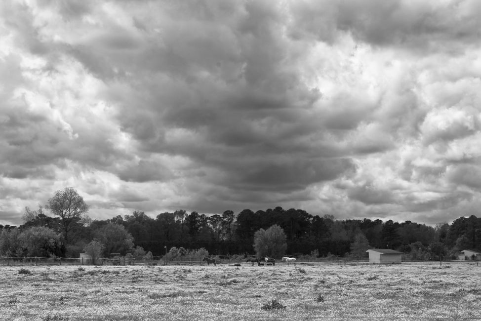 HorseSpa Farm And Sky