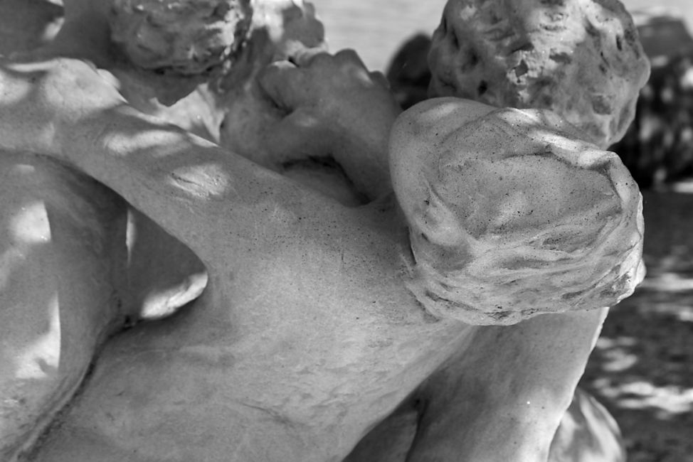 Struggle in the Park